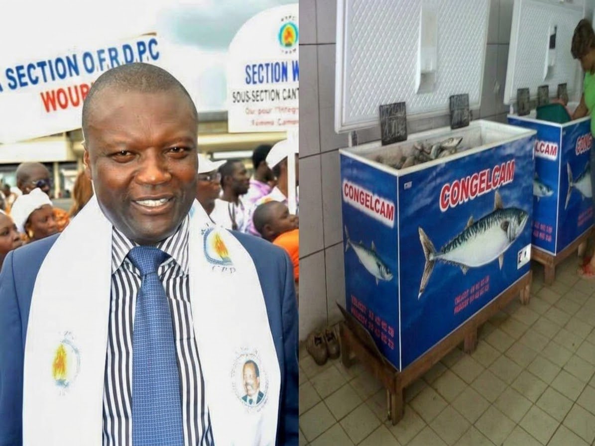 Cameroun/CONGELCAM du SÉNATEUR RDPC NGOUCHINGUÉ SYLVESTRE BRISE LE SILENCE ENTRE ACCUSATIONS DE PERSÉCUTION, MENACE DE PÉNURIE ET COLÈRE DES CONSOMMATEURS