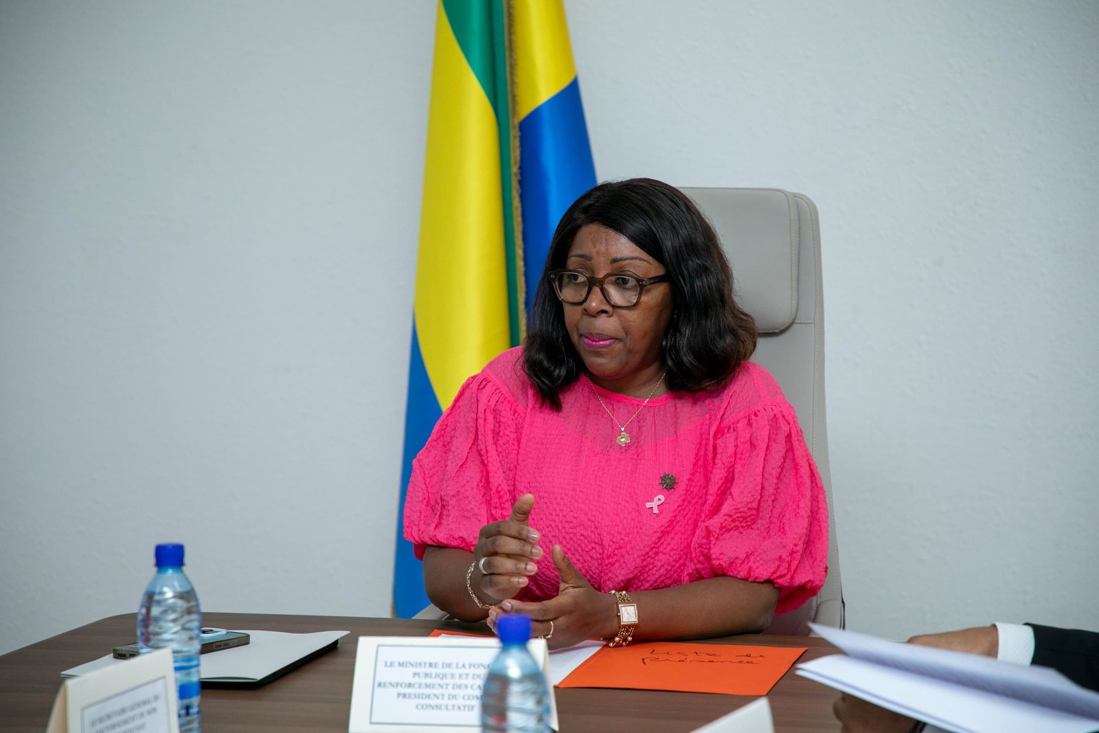 Gabon/COMITÉ CONSULTATIF : LAURENCE NDONG OUVRE LES TRAVAUX CONSACRÉS À LA RÉORGANISATION DES ADMINISTRATIONS DU SECTEUR DES TRANSPORTS